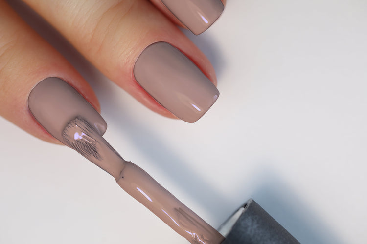Color of the Year 2025 Collection